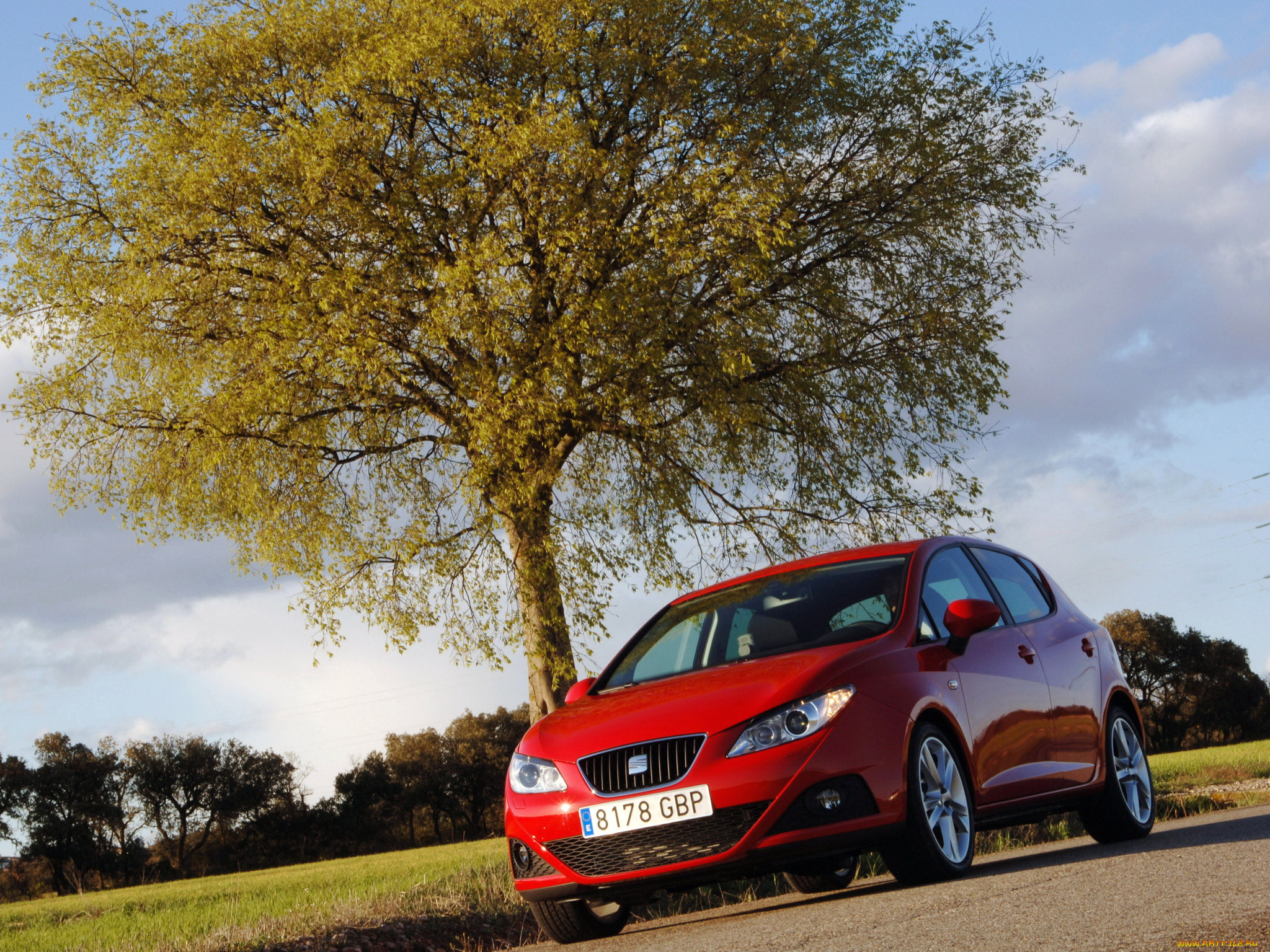 2008, seat, ibiza, 